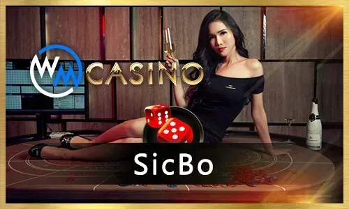Modern slot game on okplay with exciting bonus features activated